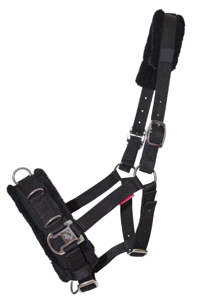 Kapsun, nylon