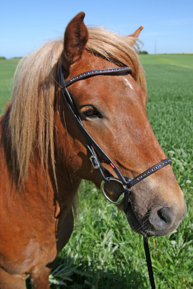 Wave headstall