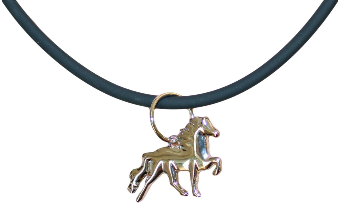 Silicone necklace with polished icelandic horse