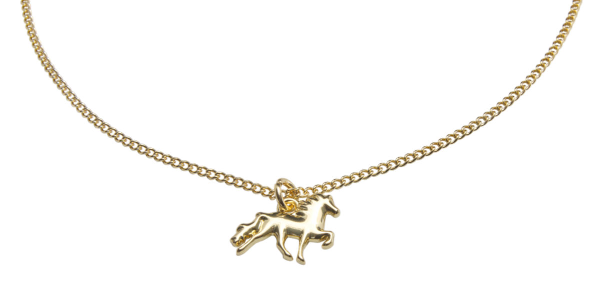 Saga Halsk&aelig;de med islandsk hest