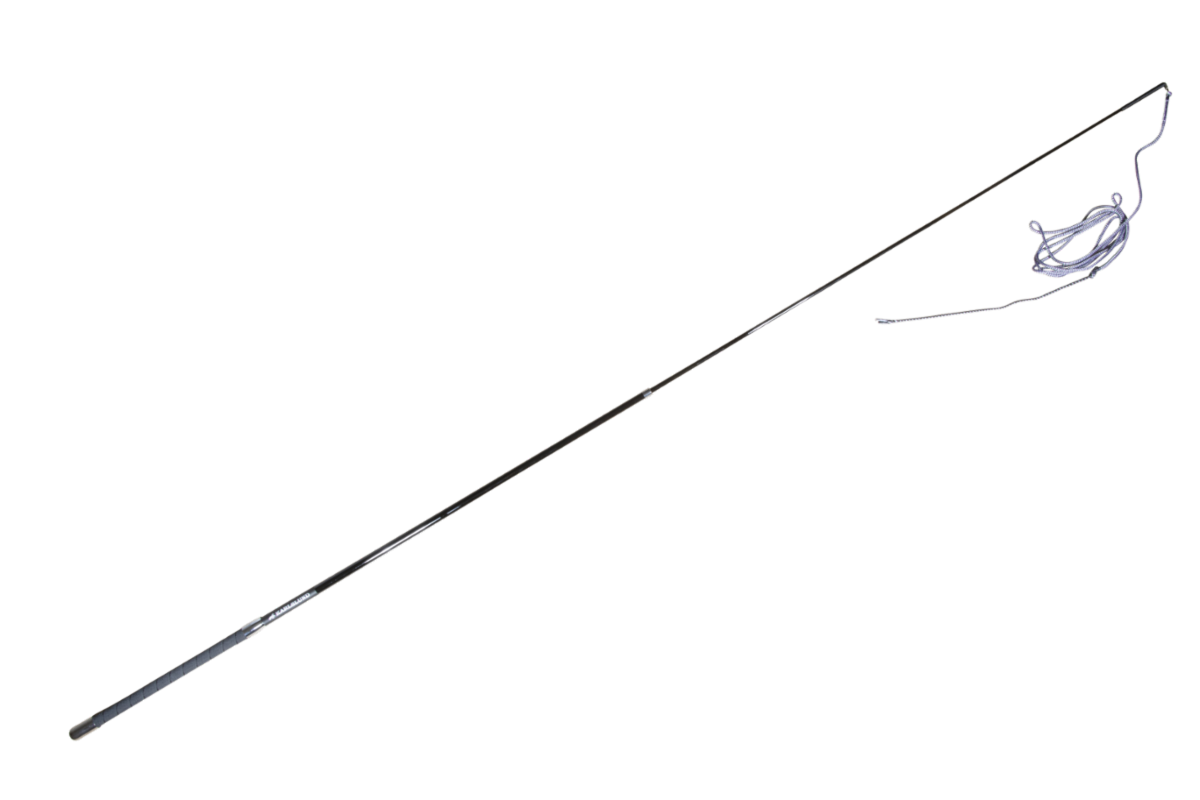 Lunging Whip, Telescopic