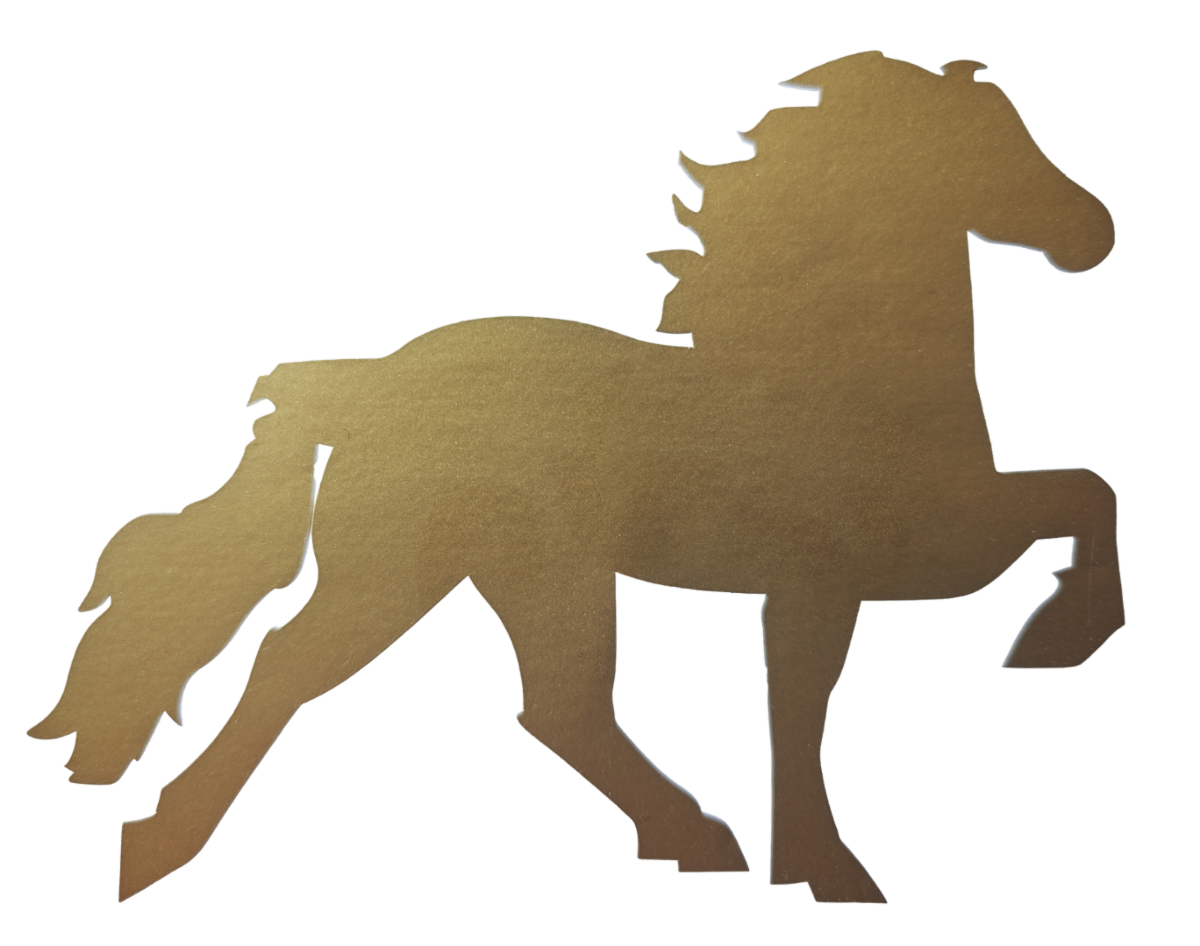 Icelandic horse sticker