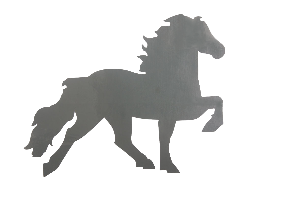 Icelandic horse sticker