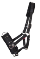 Kapsun, nylon