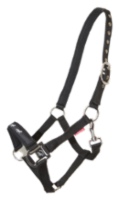 Halter with gaits