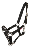 Young Horse Halter