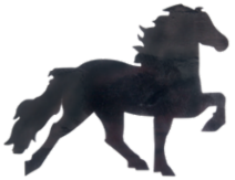 Big Icelandic Horse sticker
